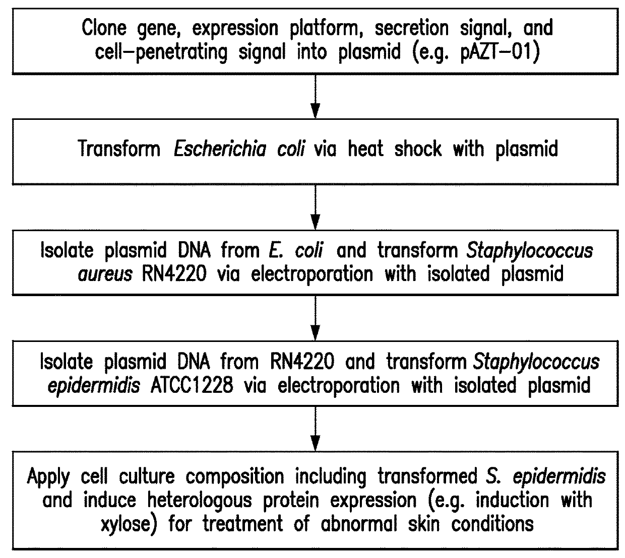 Therapeutic treatment of skin disease with recombinant commensal skin microorganisms