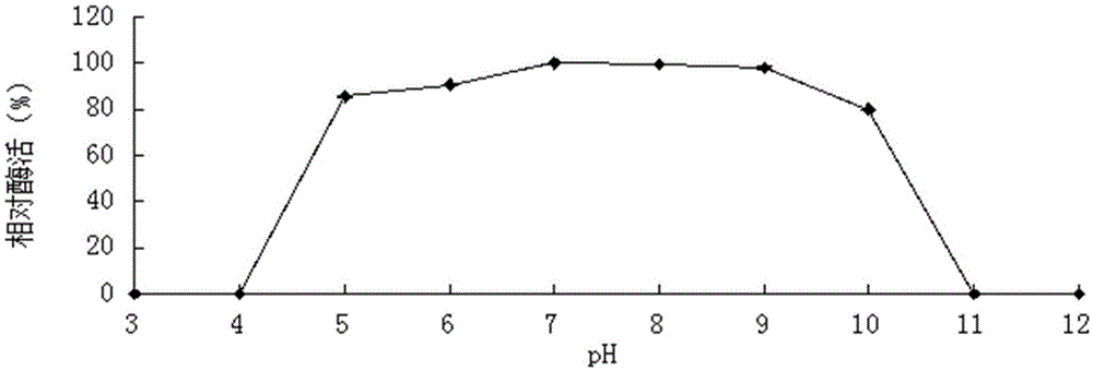 High-xylose-tolerance difunctional hemicellulolytic enzyme and encoding gene and preparation method thereof