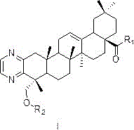 Alpha-hederagenin derivative with tumor drug-resisting reversion activity as well as preparation method and application thereof