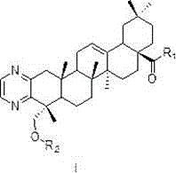 Alpha-hederagenin derivative with tumor drug-resisting reversion activity as well as preparation method and application thereof