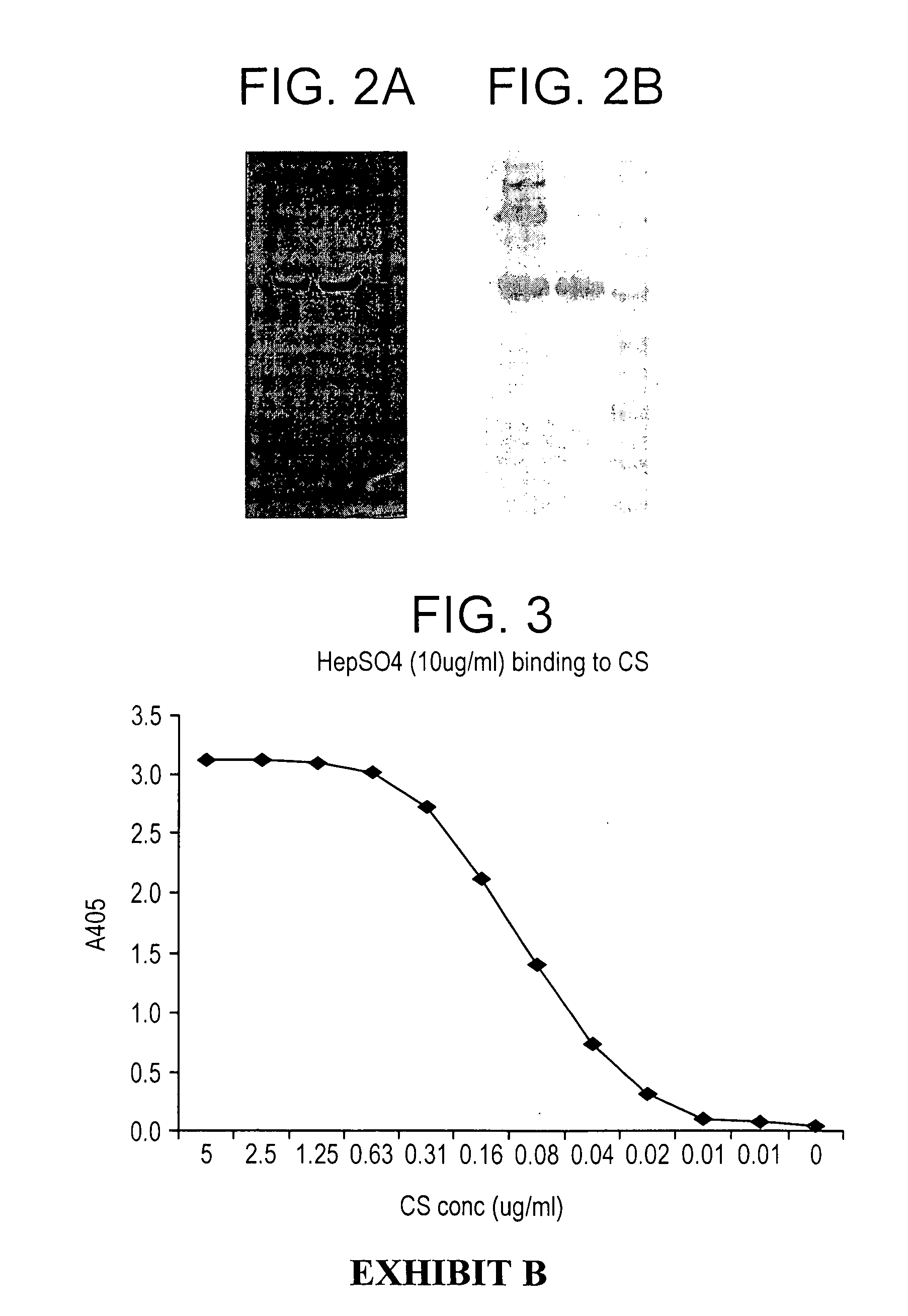 Plasmodium vivax hybrid circumsporozoite protein and vaccine