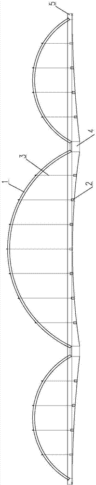 System for improving carrying capacity of continuous beam bridge girders and bridge girders with same