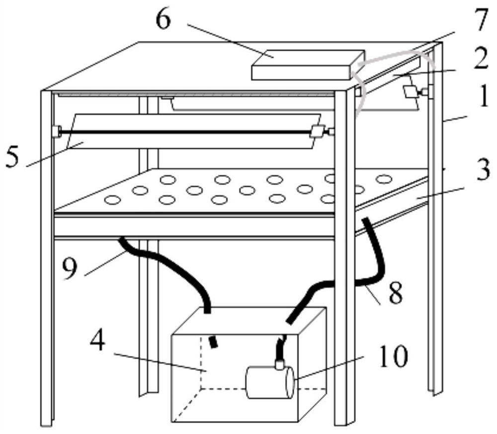 Light supplementing type lettuce hydroponic apparatus