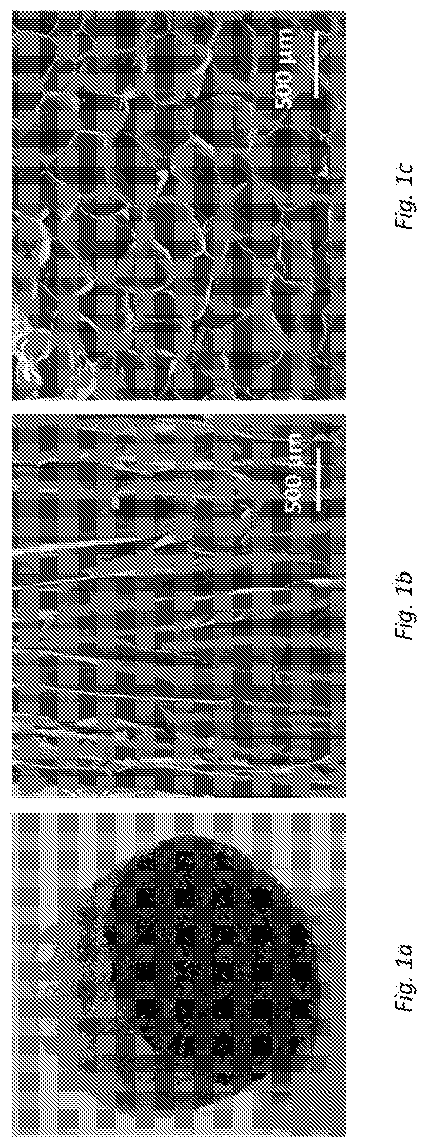 Filter for the exchange of heat and moisture for application in the medical field and procedure for the production thereof