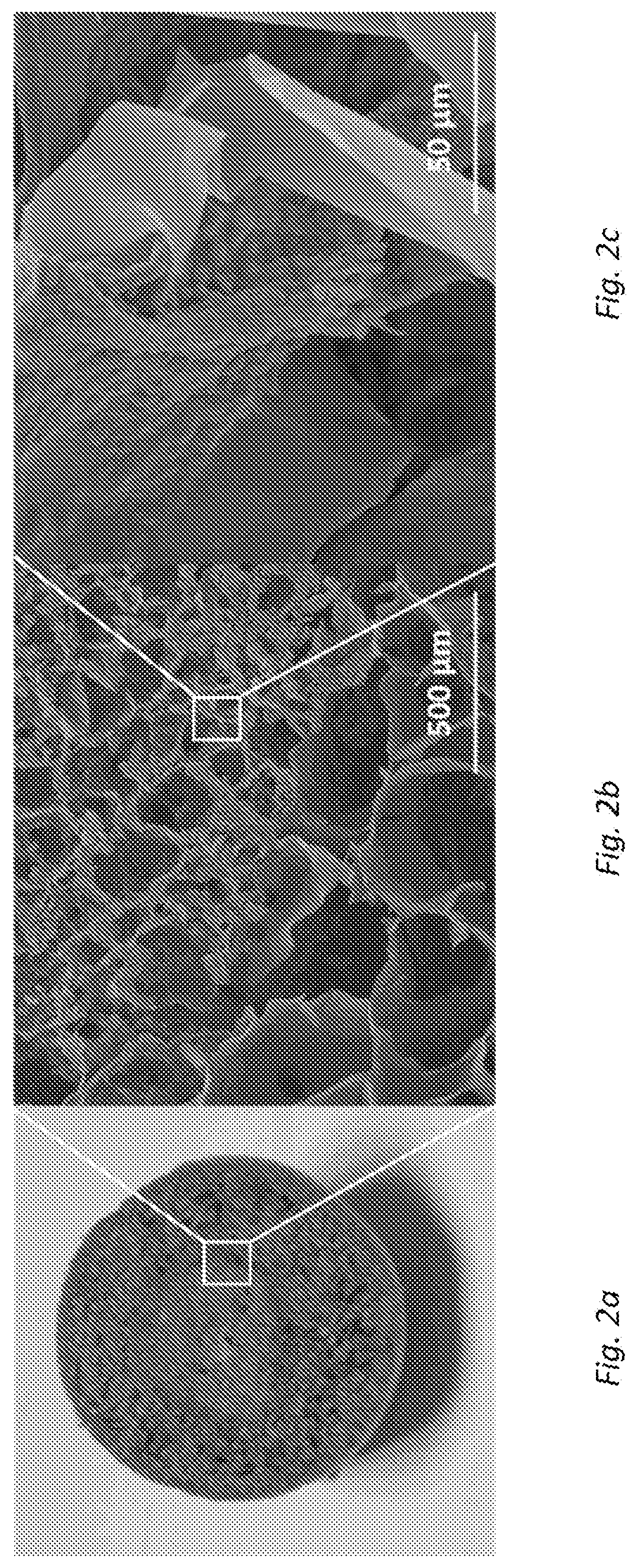 Filter for the exchange of heat and moisture for application in the medical field and procedure for the production thereof