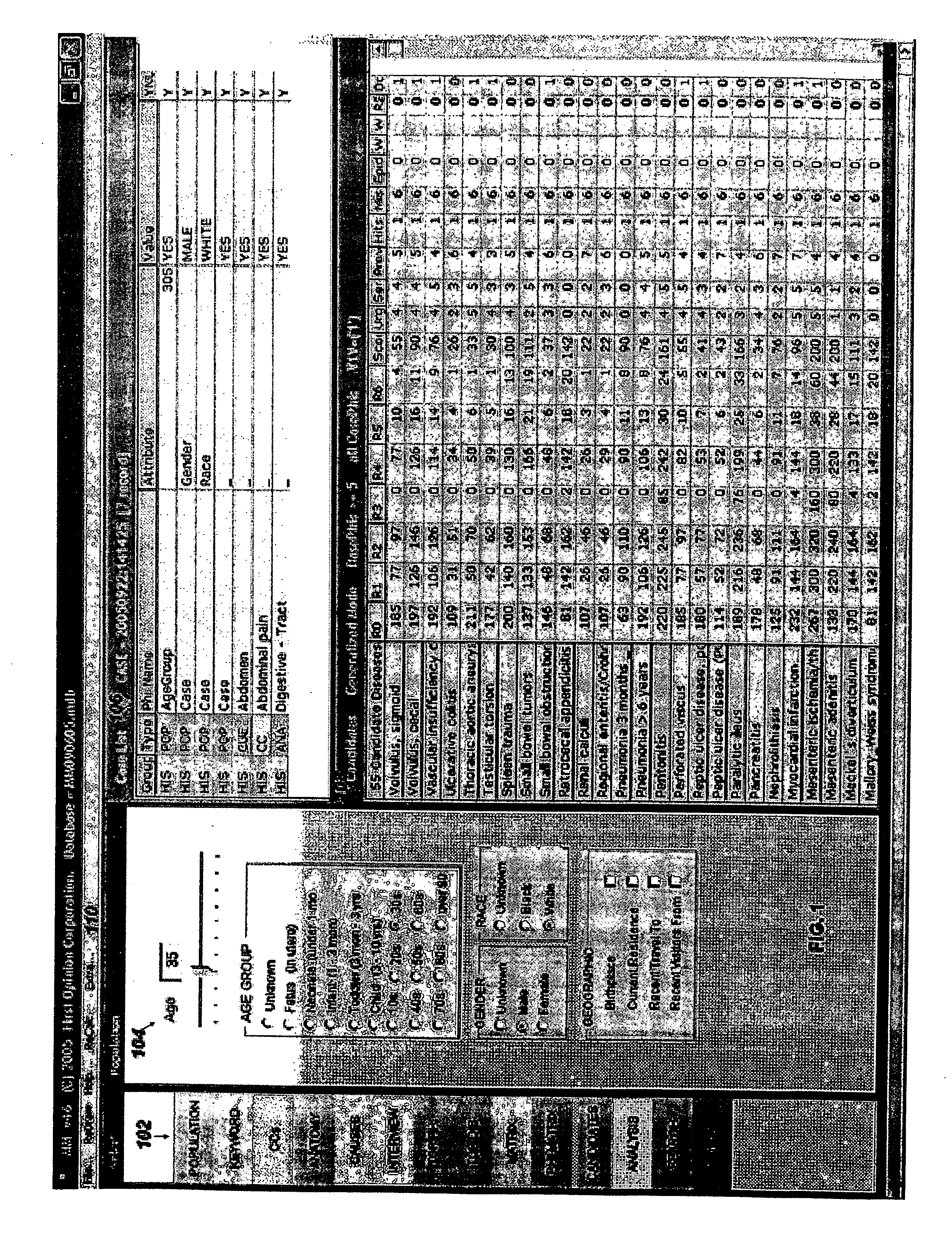 Matrix interface for medical diagnostic and treatment advice system and method