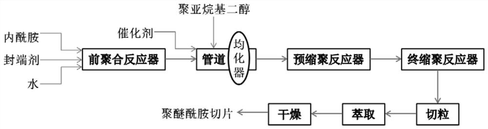 A kind of method of continuous production polyether amide