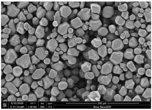 Preparation method of trichosanthes kirilowii pulp B-type starch