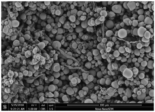 Preparation method of trichosanthes kirilowii pulp B-type starch