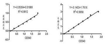 Straw degrading bacteria and separation and screening method