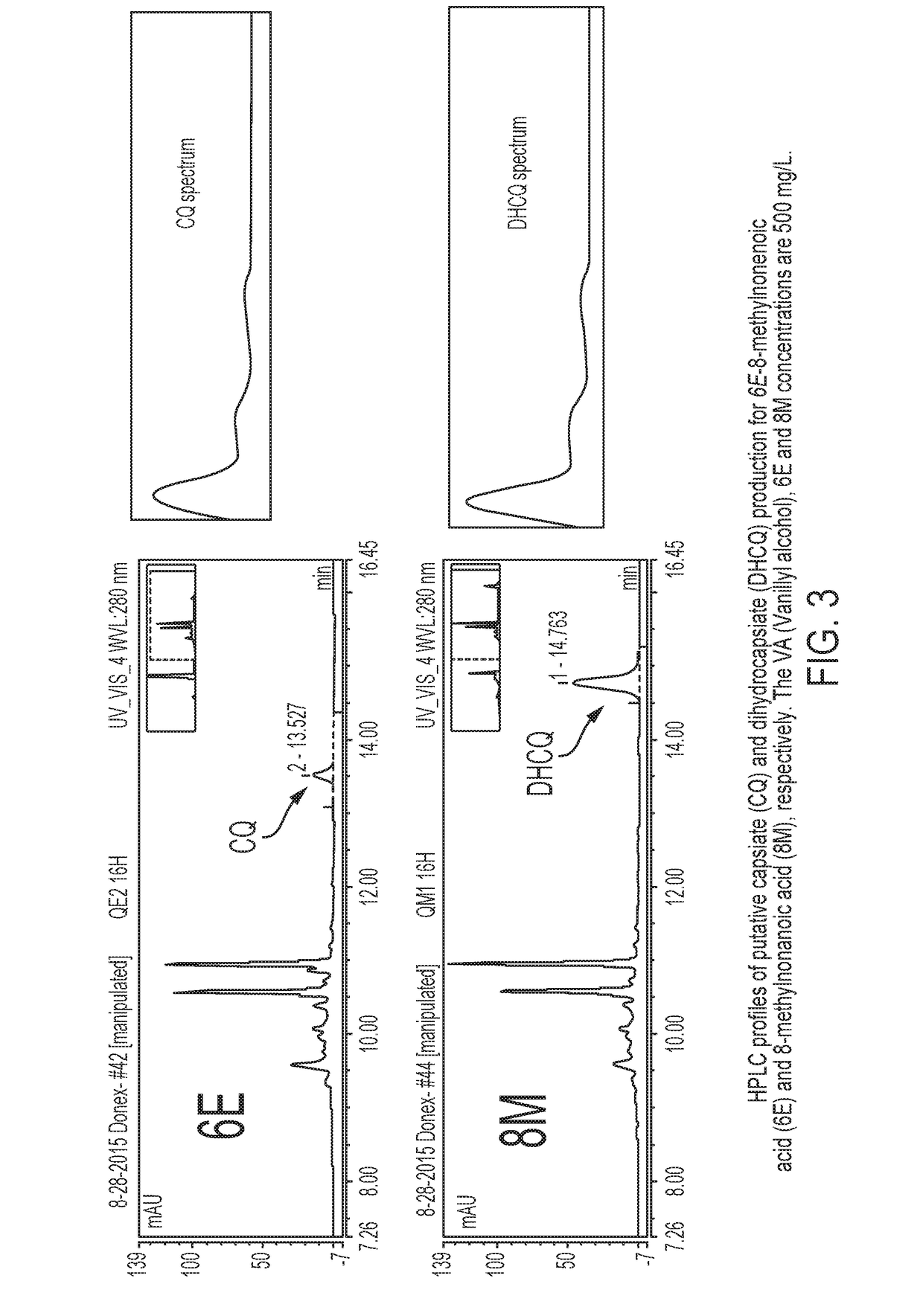 Methods of making capsinoids by biosynthetic processes