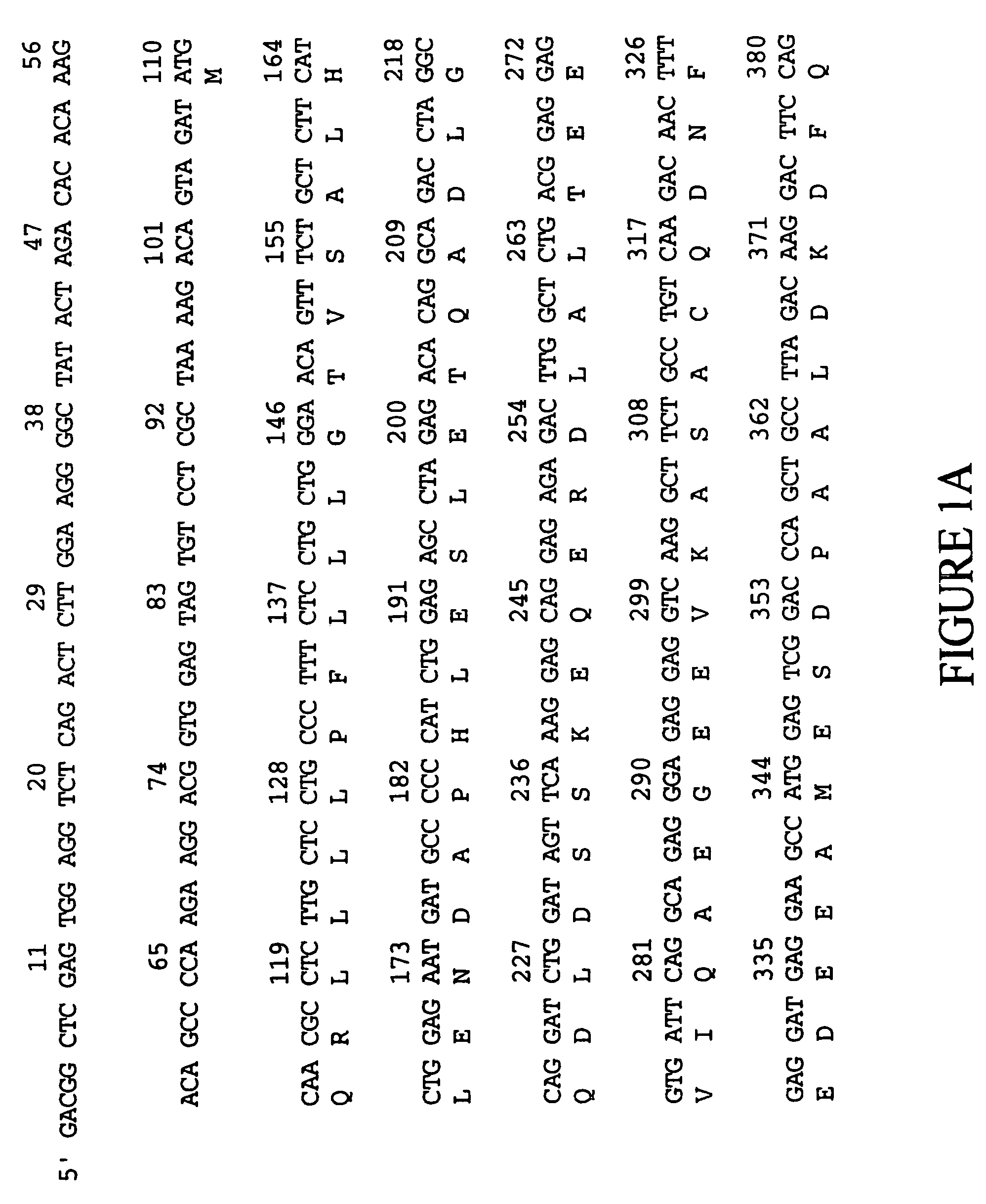 Human eosinophil-derived basic protein