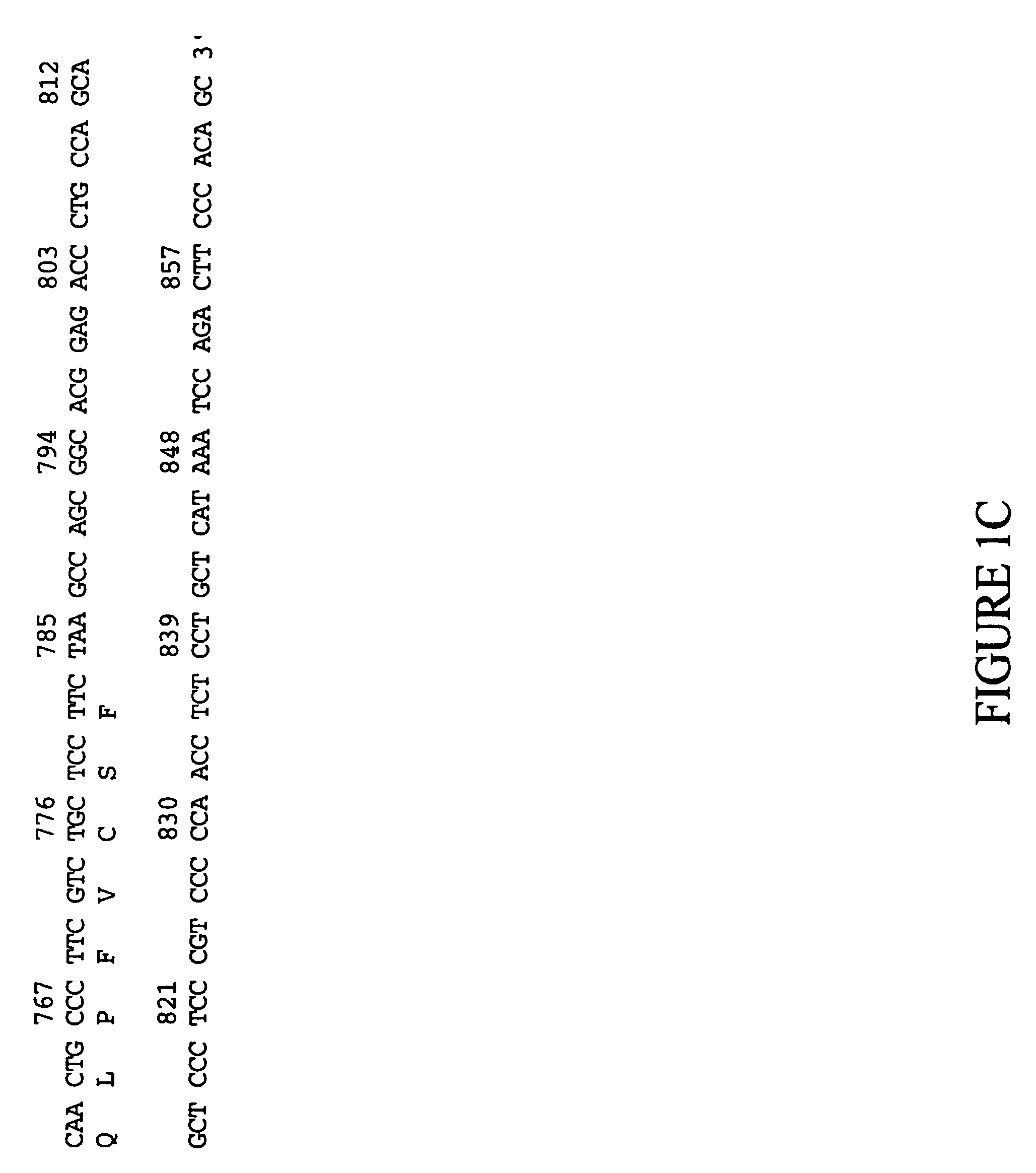 Human eosinophil-derived basic protein