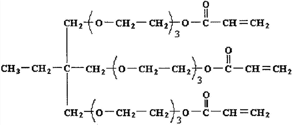 Two-part anti-fouling paint composition, anti-fouling paint film, anti-fouling base member, and method for manufacturing anti-fouling base member