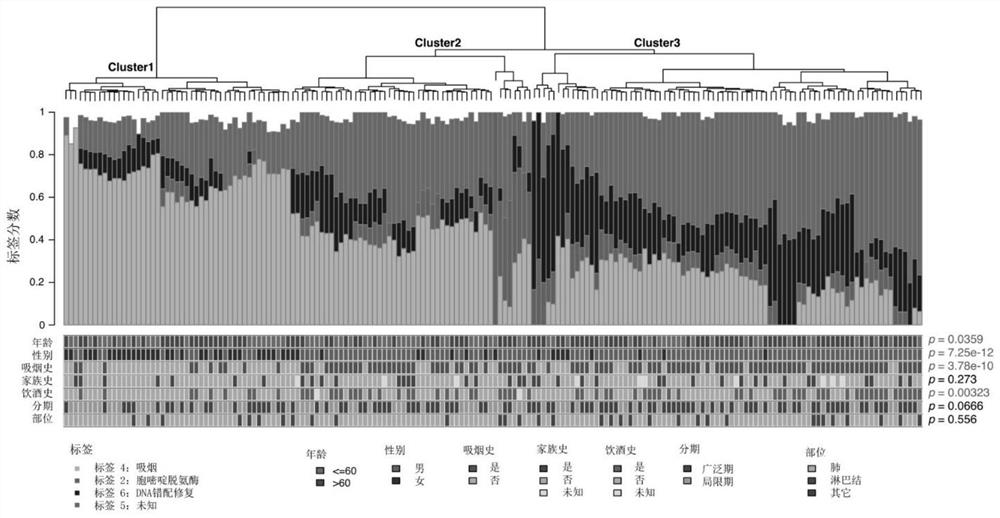 Mutation characteristic-based determination method for small cell lung cancer molecular typing and application