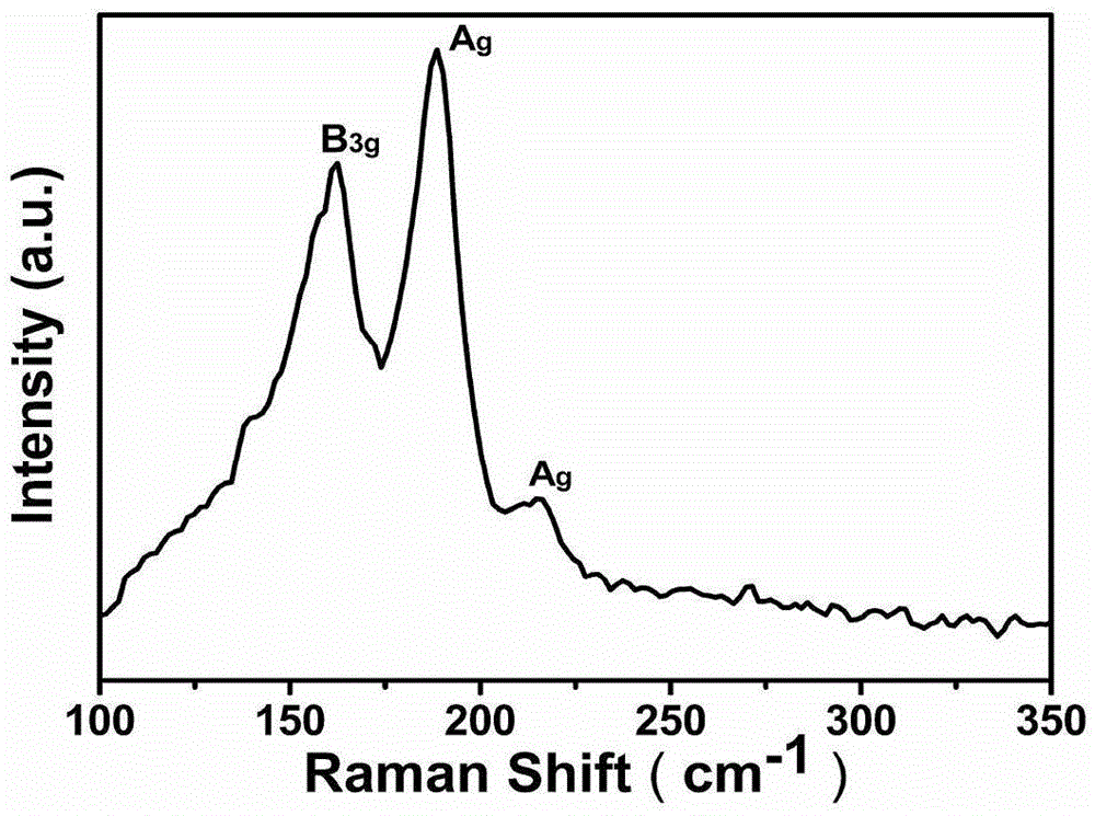 Preparation method for stannous sulfide nanosheet and photoelectric detector prepared based on stannous sulfide nanosheet