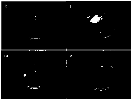 Method for preparation of antioxidant polypeptide by enzymatic hydrolysis of eggshell membrane