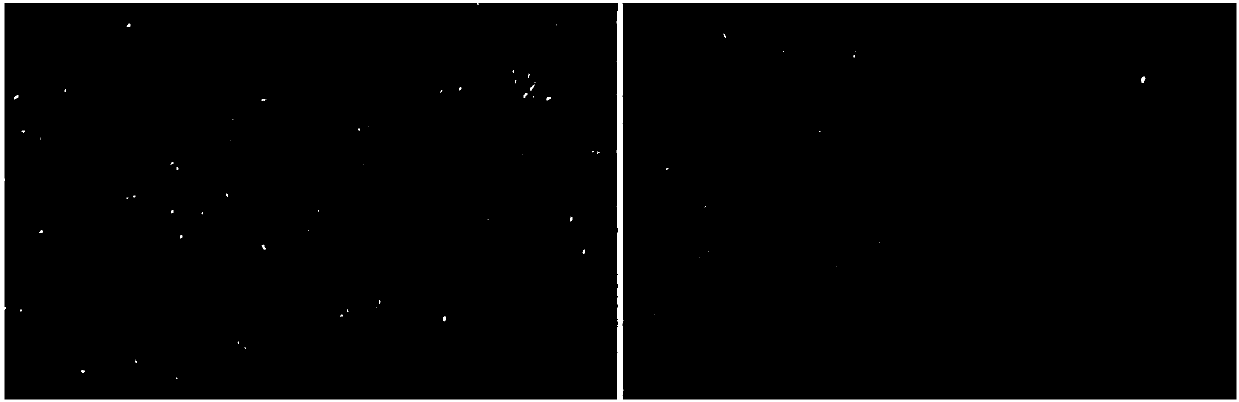 Method for proliferating and culturing duck tembusu virus by using mosquito-derived C6/36 cell line