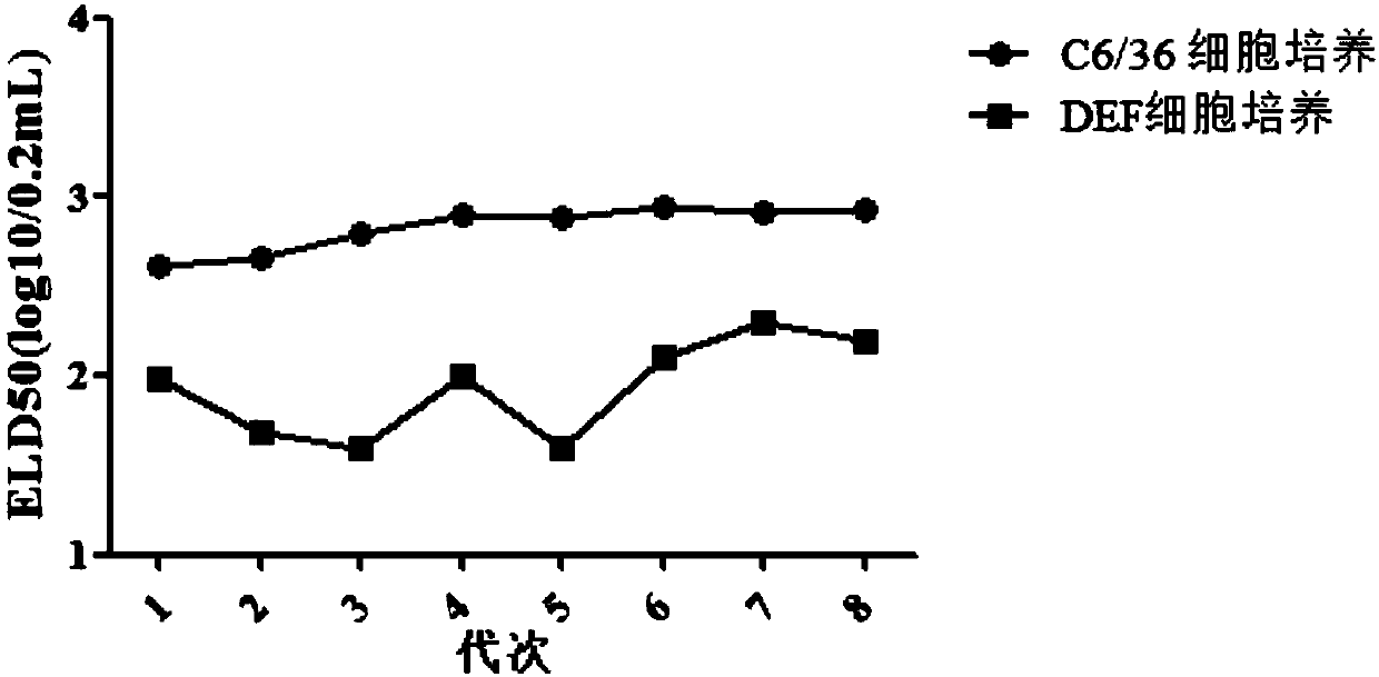 Method for proliferating and culturing duck tembusu virus by using mosquito-derived C6/36 cell line