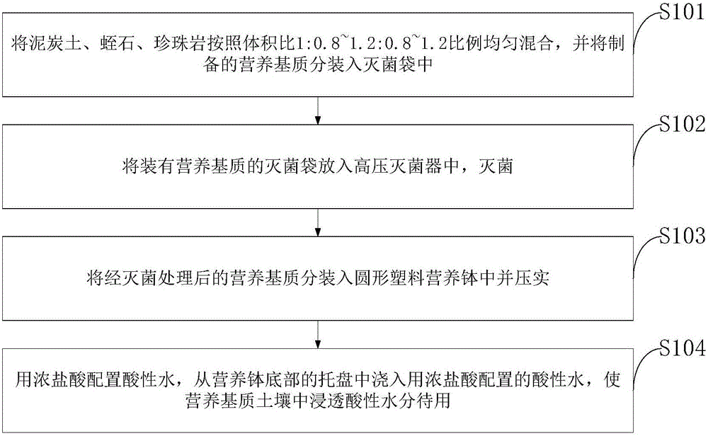 Plasmodiophora brassica woron inoculating nutrition medium and preparation method thereof