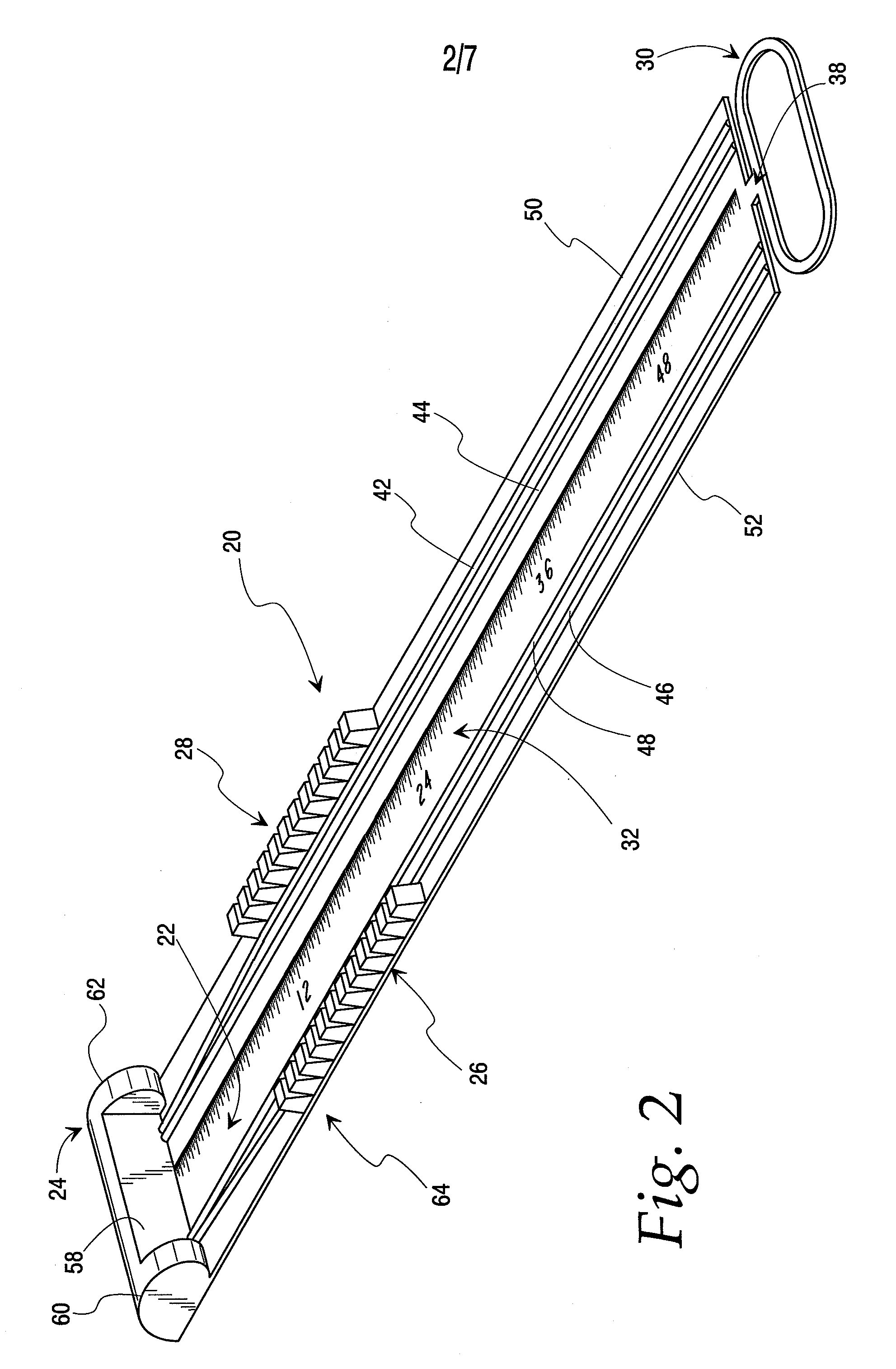 Fish measurement device