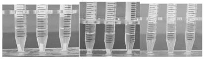 Nerve graft conduit based on chitosan and preparation method thereof