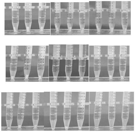 Nerve graft conduit based on chitosan and preparation method thereof