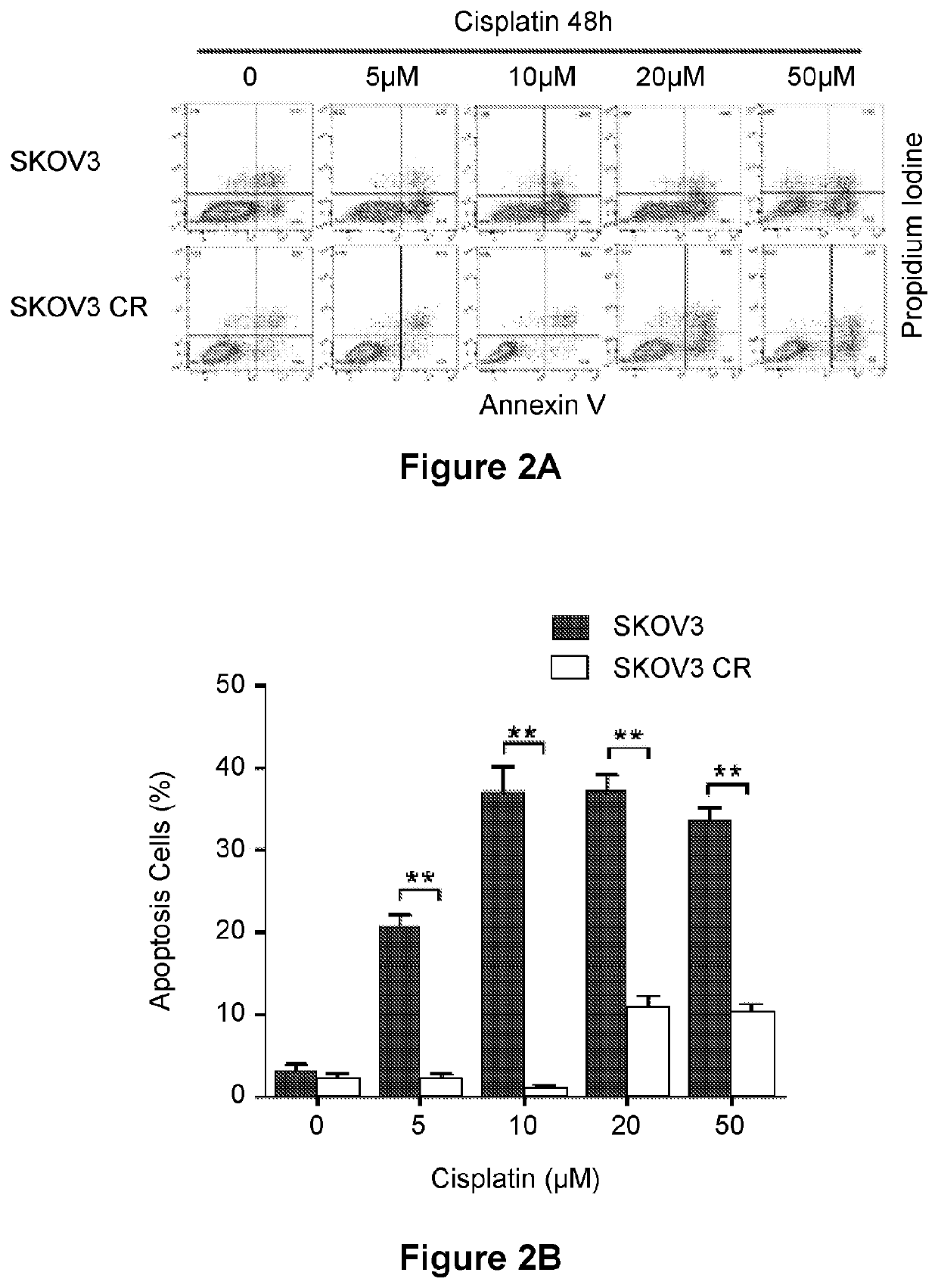 Combination Therapy for Treating Cancer