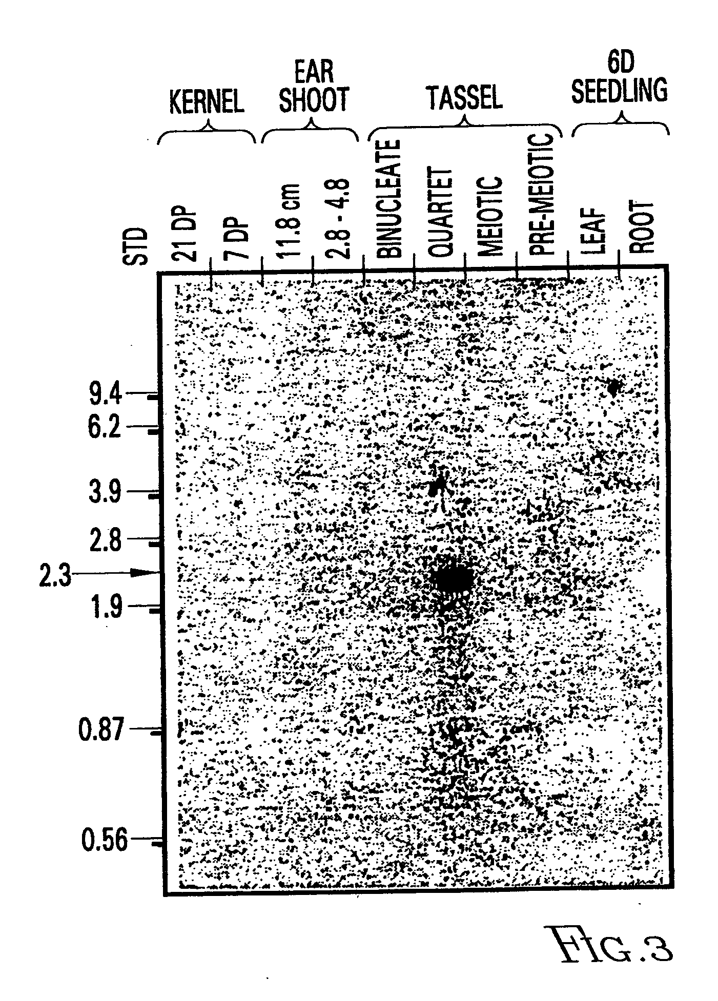 Nucleotide sequences mediating male fertility and method of using same