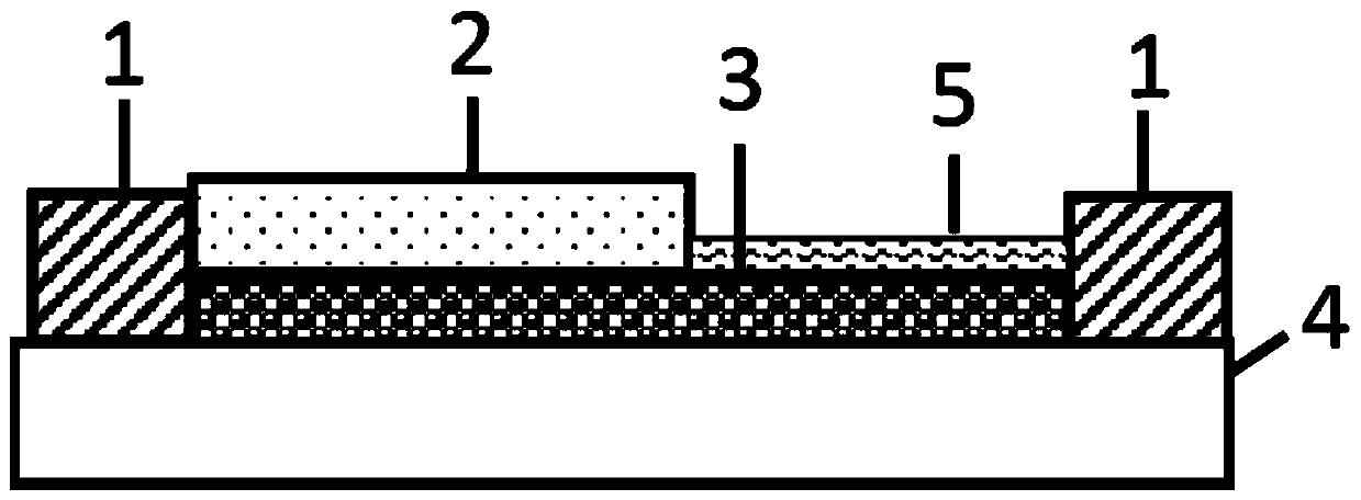 Transition metal chalcogenide homojunction, homojunction diode and preparation of homojunction