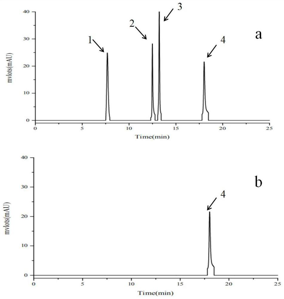 Engineered escherichia coli and method of whole cells of engineered escherichia coli to produce anhydroicaritin through catalysis