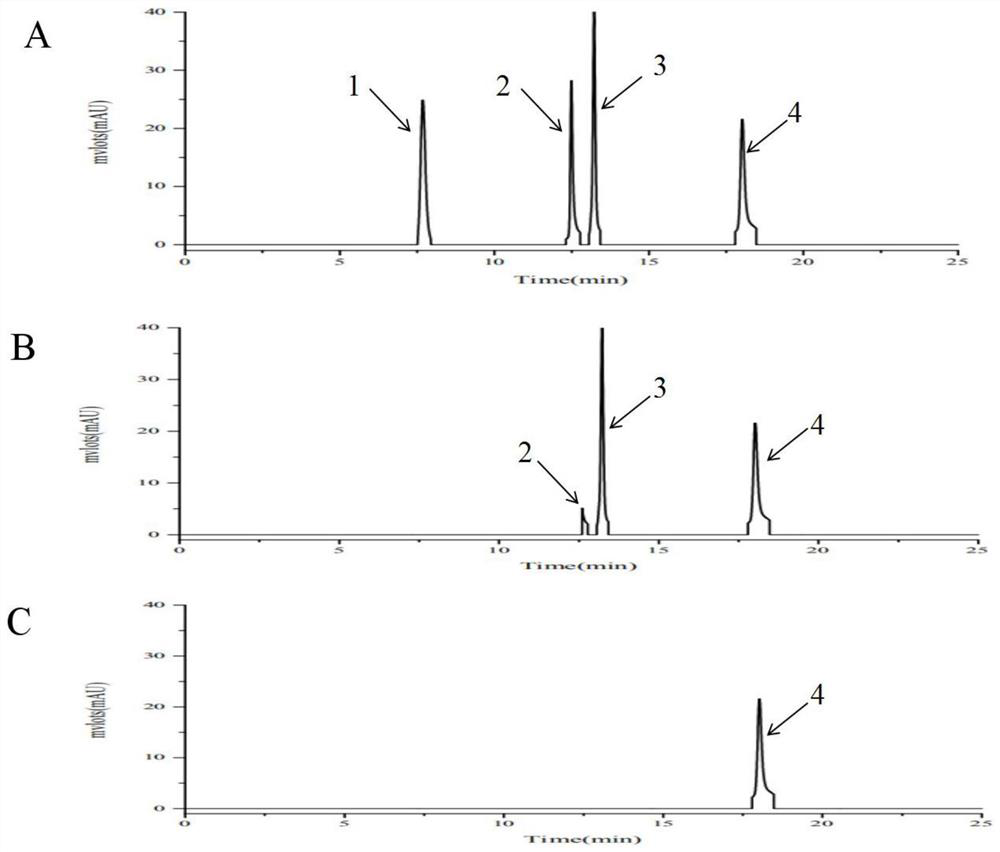 Engineered escherichia coli and method of whole cells of engineered escherichia coli to produce anhydroicaritin through catalysis