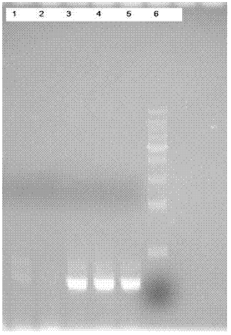 Yeast engineering bacterial strain capable of producing glutathione and application thereof to production of glutathione