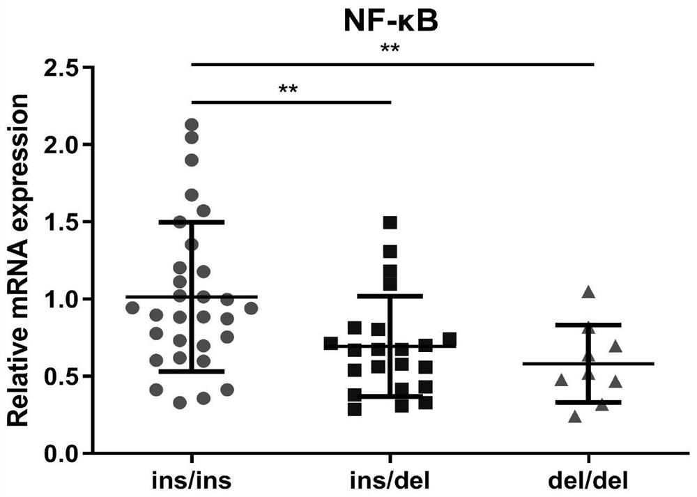 Application of polymorphism sites to preparation of products for detecting myeloproliterative neoplasms (MPN)