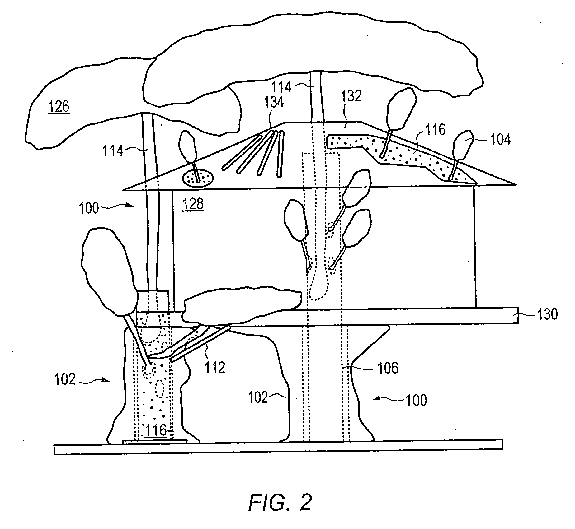 Water amusement system with trees