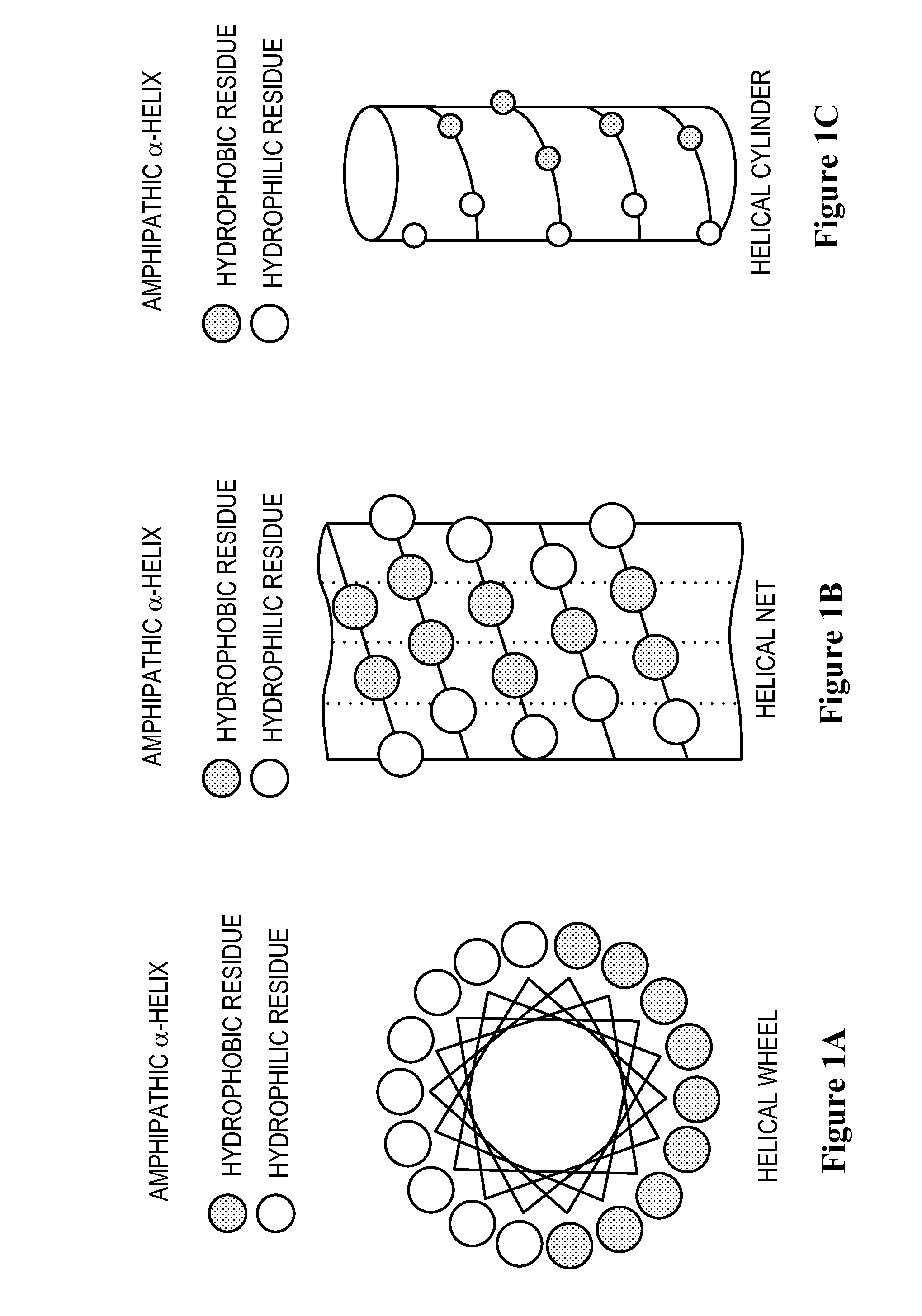 Apolipoprotein a-i mimics