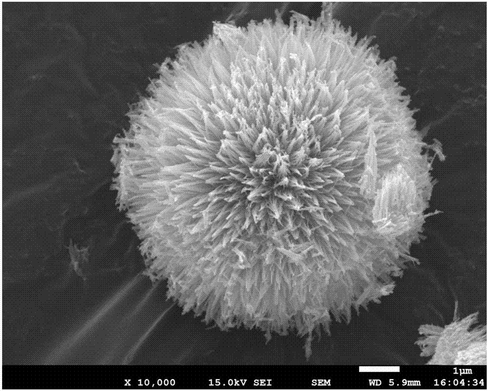 Preparation and application for Ni-Co oxide catalyst prepared on basis of water-in-oil reverse microemulsion method