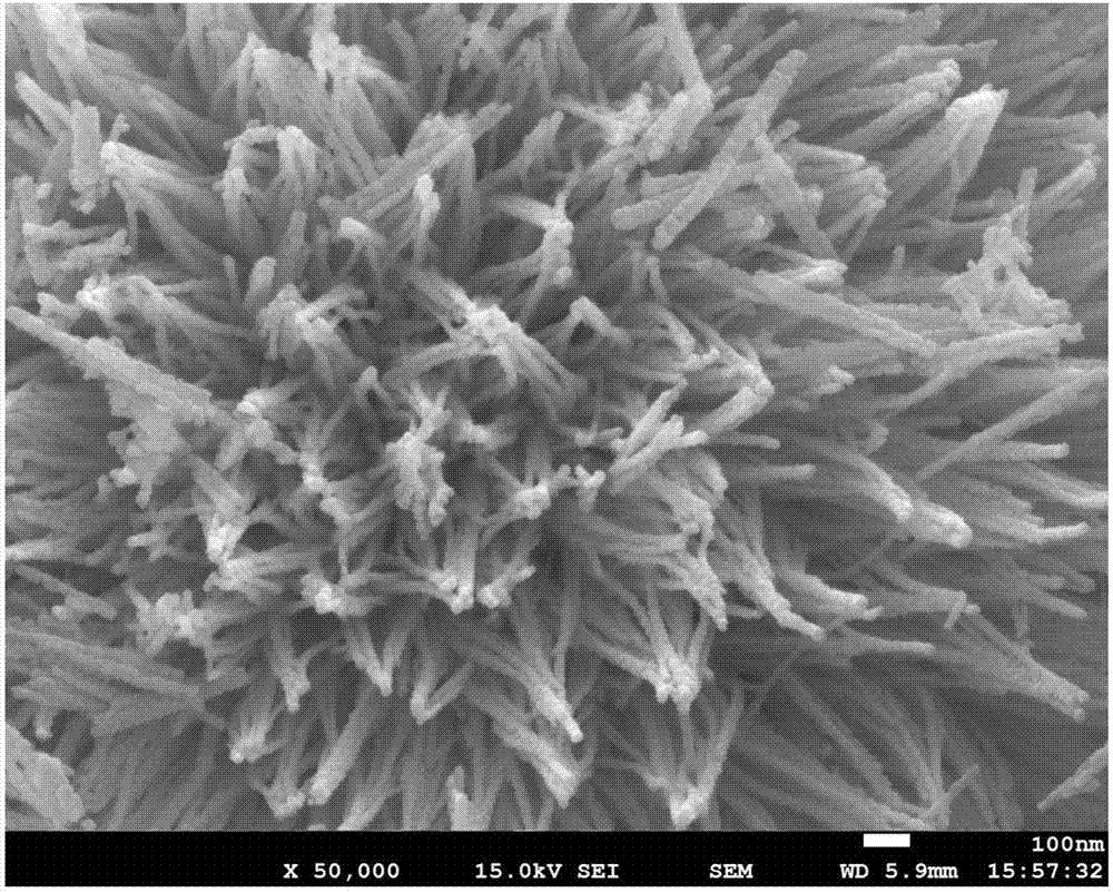 Preparation and application for Ni-Co oxide catalyst prepared on basis of water-in-oil reverse microemulsion method