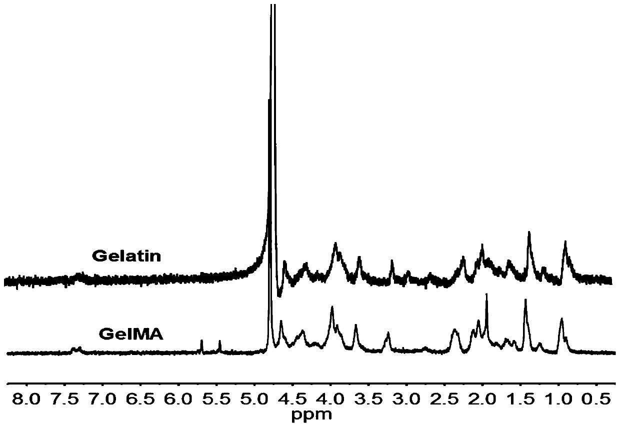 Biological mixed artificial blood vessel and preparation method thereof