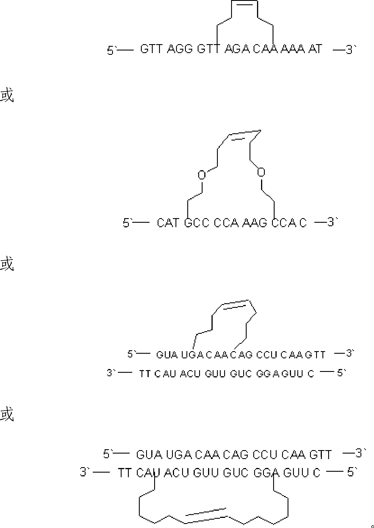 Alkyl modified nucleic acid and modification method and application thereof