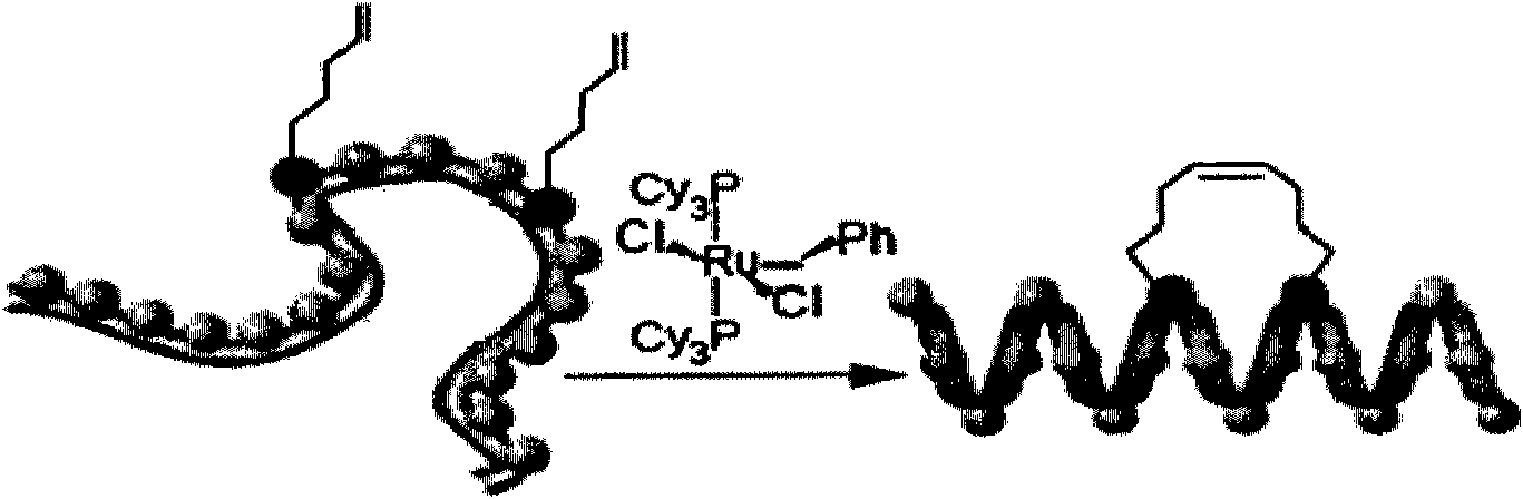 Alkyl modified nucleic acid and modification method and application thereof