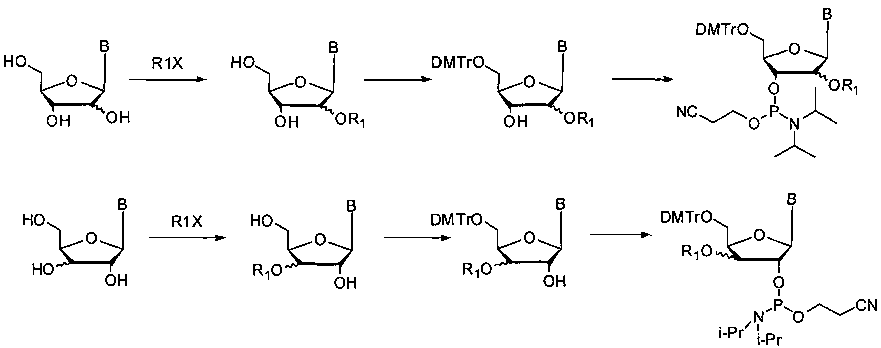 Alkyl modified nucleic acid and modification method and application thereof