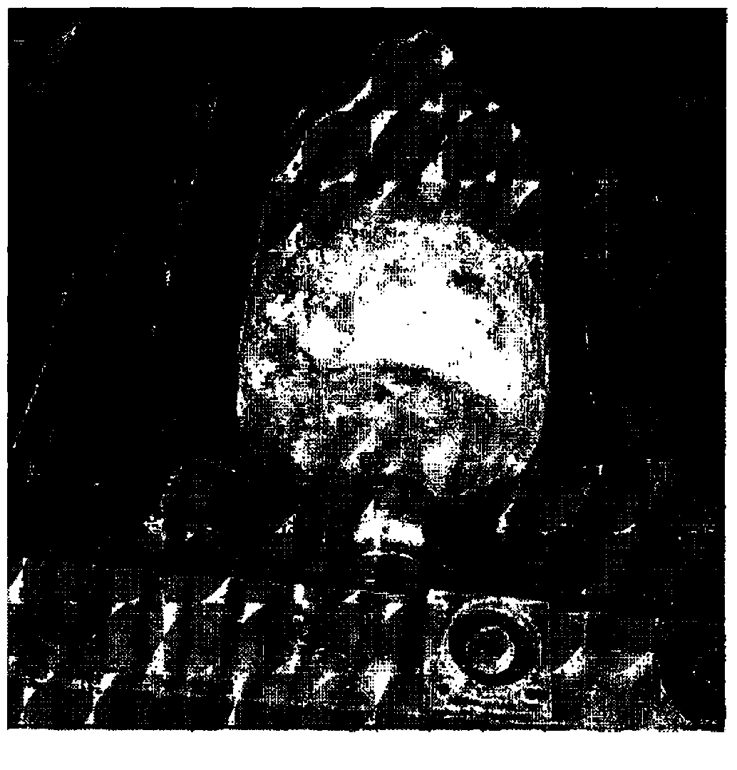 Composition for repairing cartilage tissue, method for producing same, and use thereof