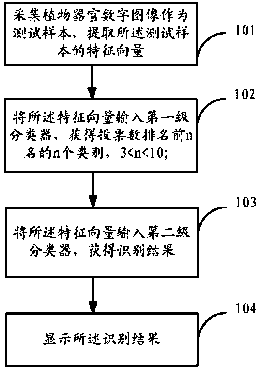 Plant species identification method based on digital image