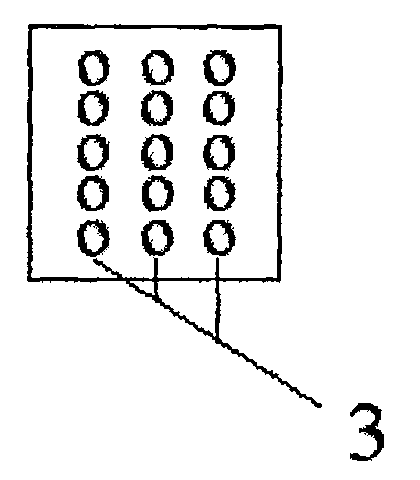 Preparation method of oligonucleotide chip for detecting transplanted kidney function