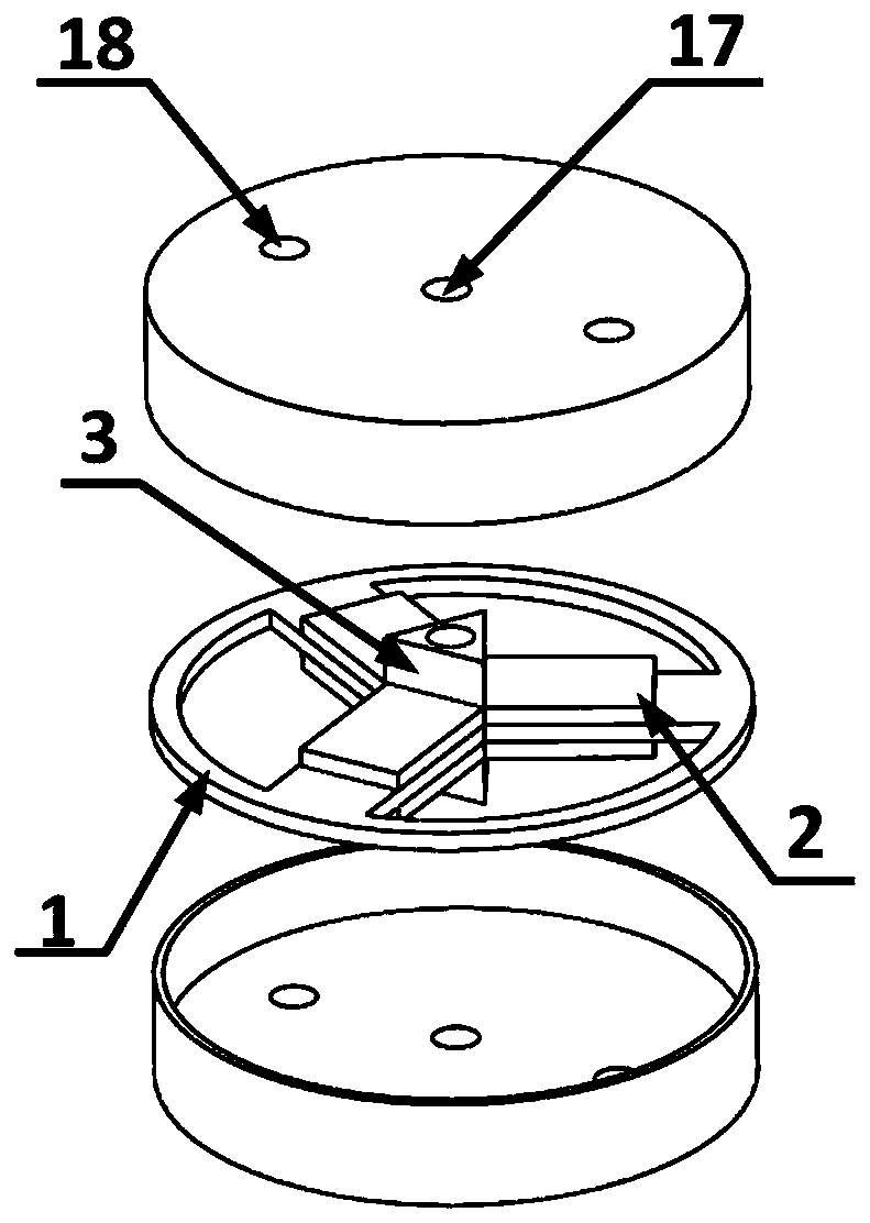 High-performance piezoelectric accelerometer with ring beam structure