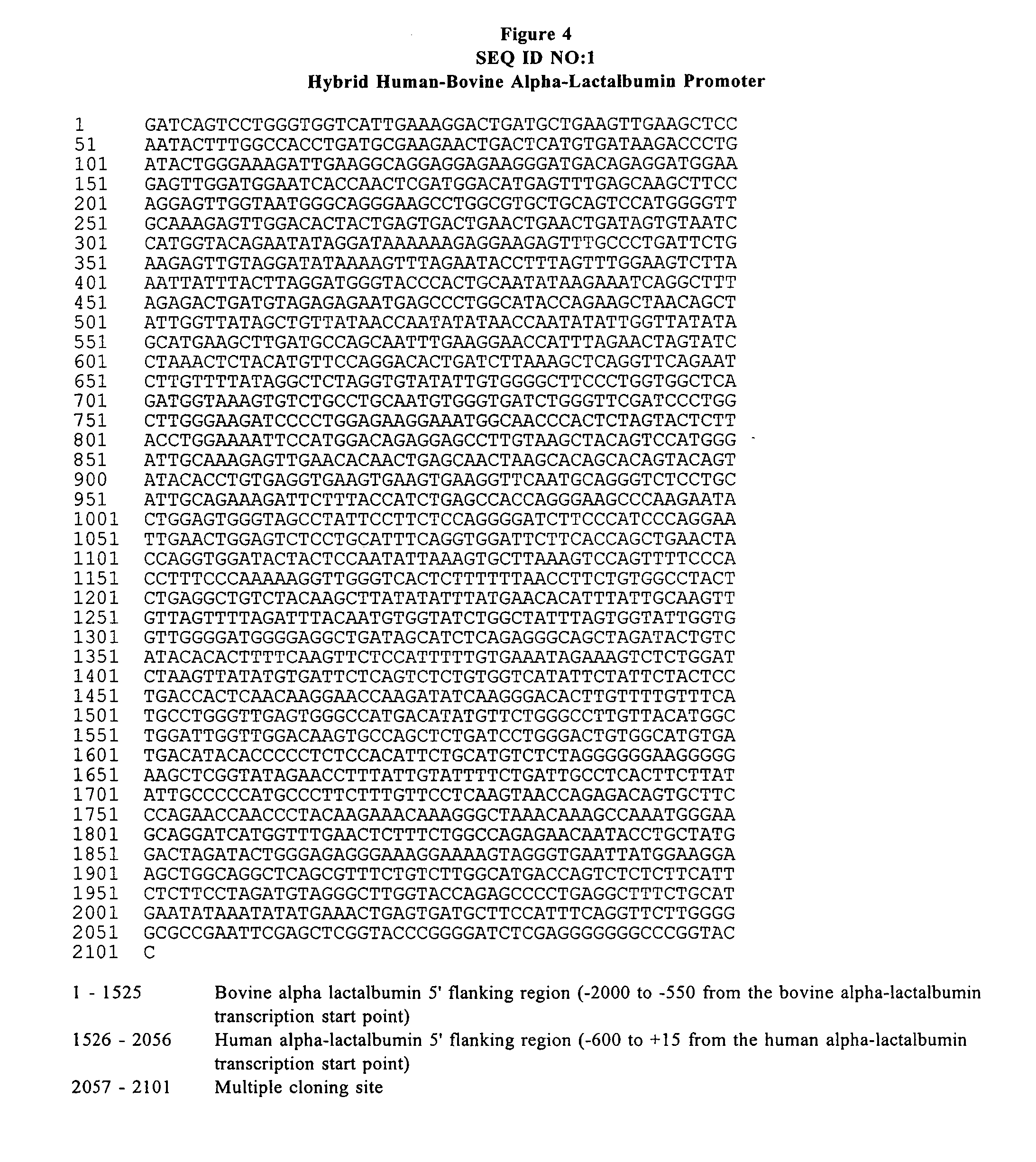 Host Cells Containing Multiple Integrating Vectors