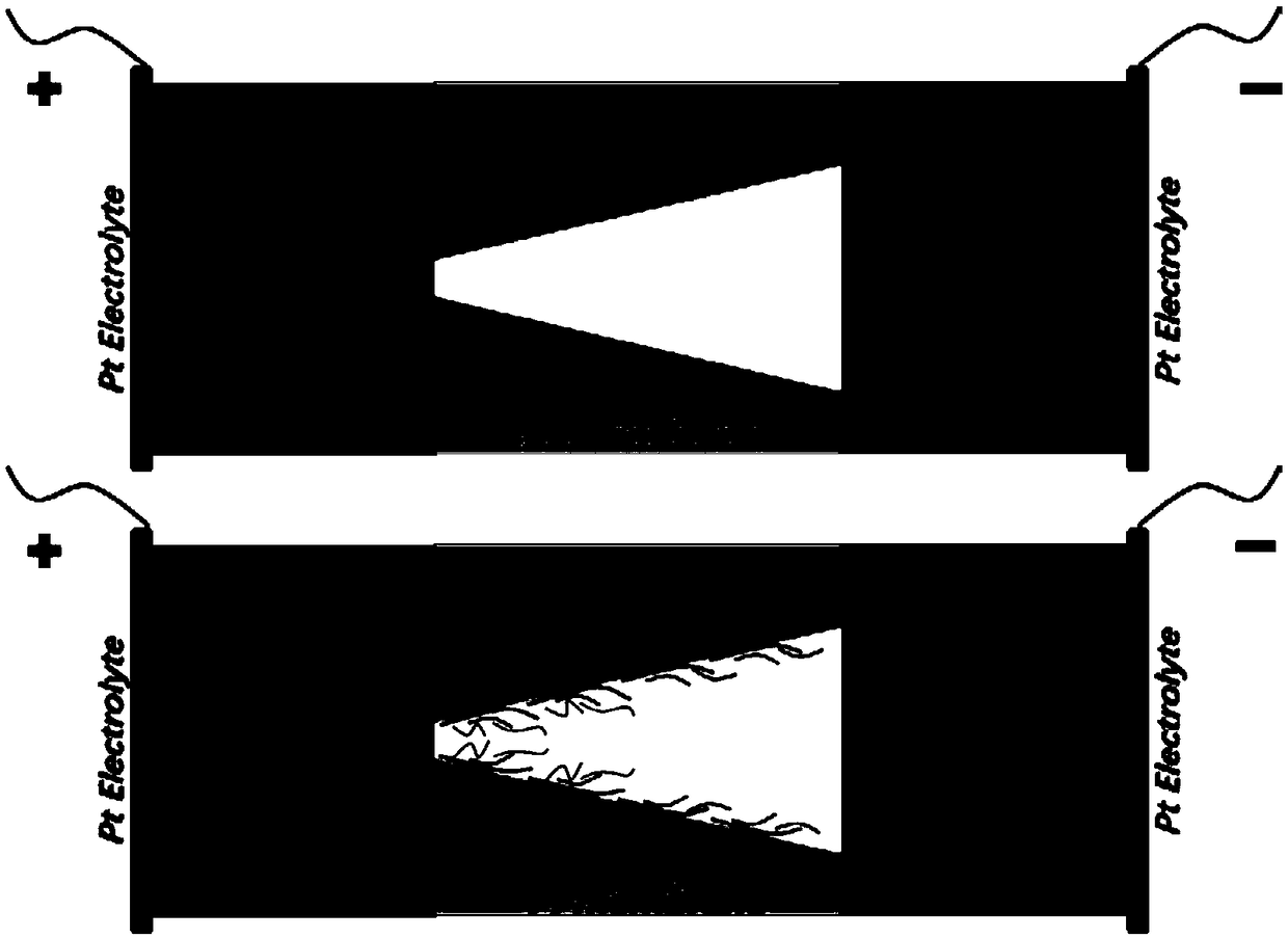 Modifying method of bionic nanopores, bionic nanopores and their application