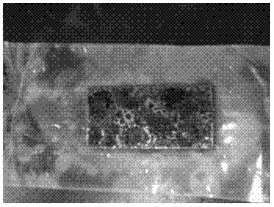 Water-soluble total-synthesis metal working fluid and application thereof