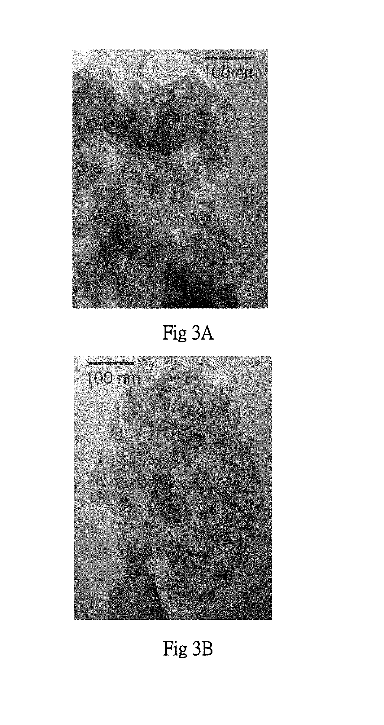 Method for making multiporous carbon materials by using bio-oils